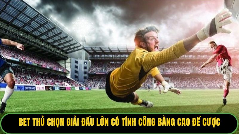 Bet thủ chọn giải đấu lớn có tính công bằng cao để cược