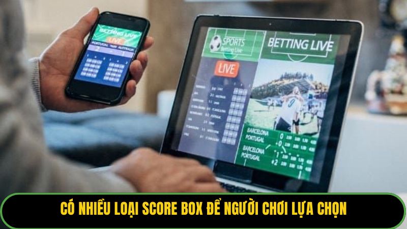Có nhiều loại Score Box để người chơi lựa chọn.