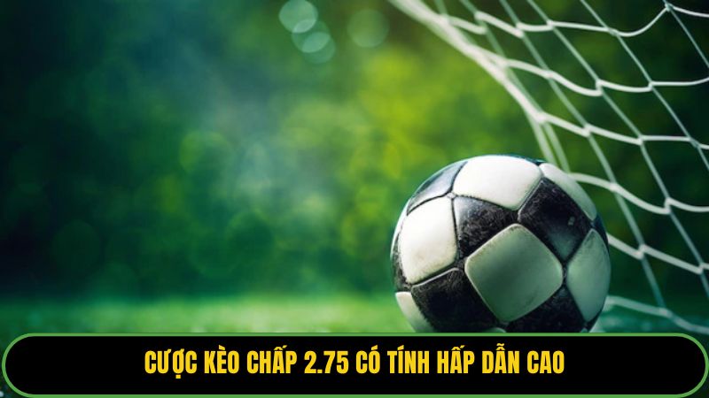Cược kèo chấp 2.75 có tính hấp dẫn cao