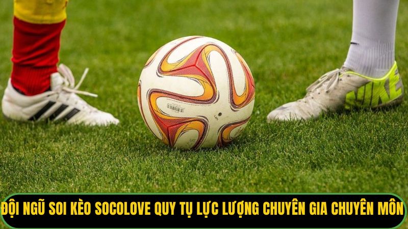 Đội ngũ soi kèo Socolove quy tụ lực lượng chuyên gia chuyên môn cao