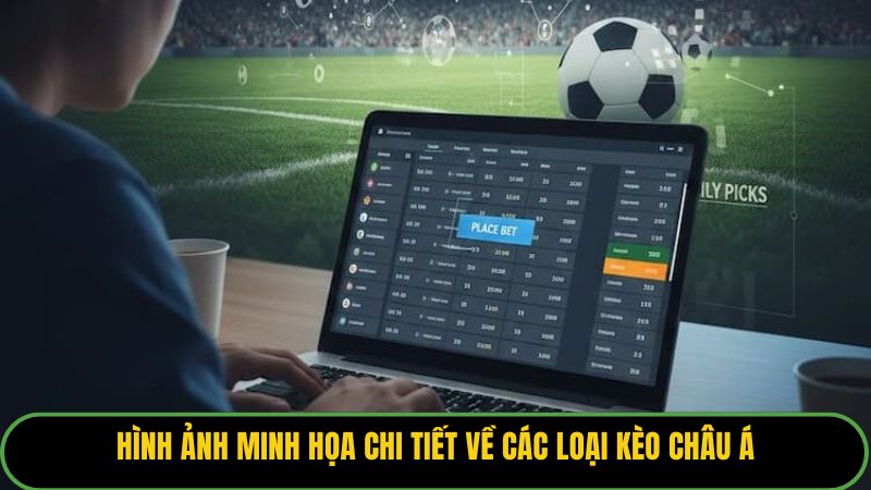 Hình ảnh minh họa chi tiết về các loại kèo châu Á.