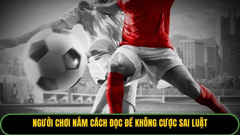Người chơi nắm cách đọc để không cược sai luật