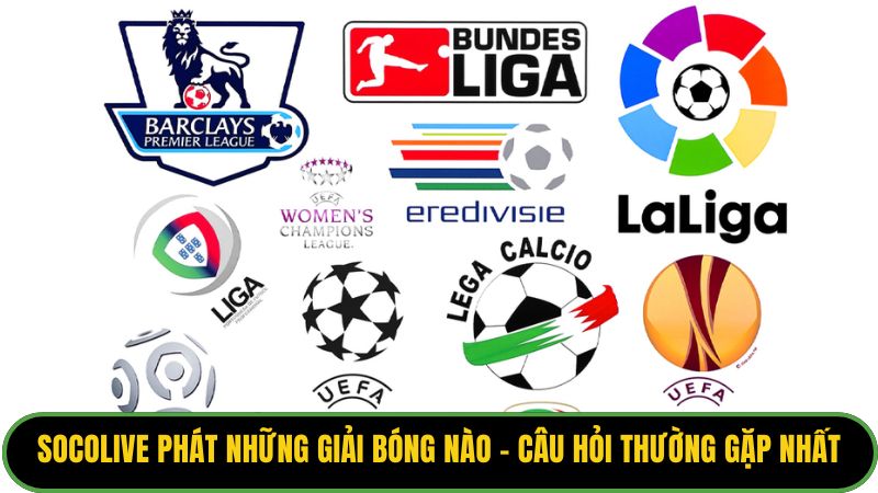 Socolive phát những giải bóng nào - câu hỏi thường gặp nhất
