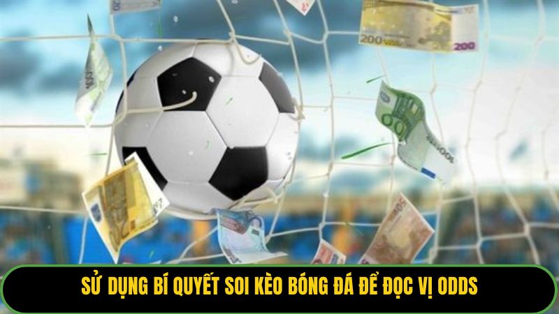 Sử dụng bí quyết soi kèo bóng đá để đọc vị Odds.