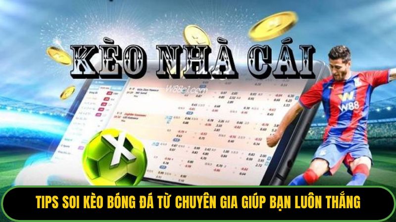 Tips Soi Kèo Bóng Đá
