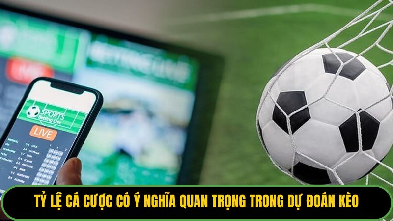 Tỷ lệ cá cược có ý nghĩa quan trọng trong dự đoán kèo