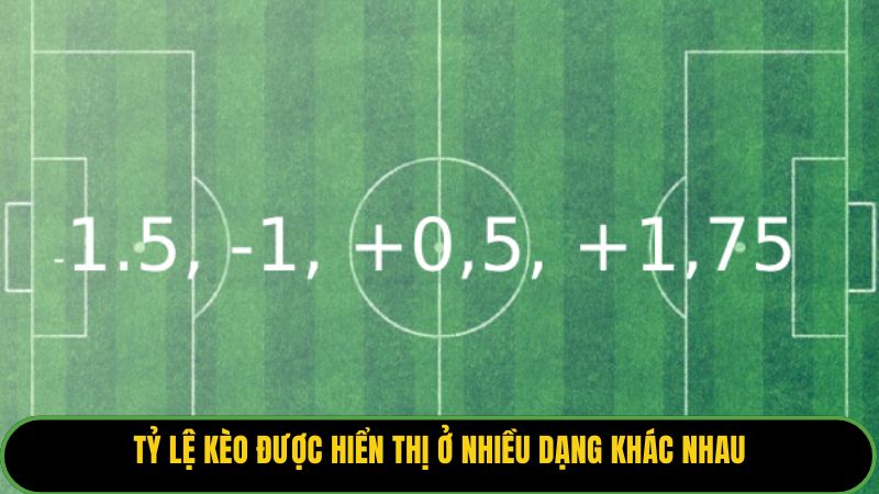 Tỷ lệ kèo được hiển thị ở nhiều dạng khác nhau